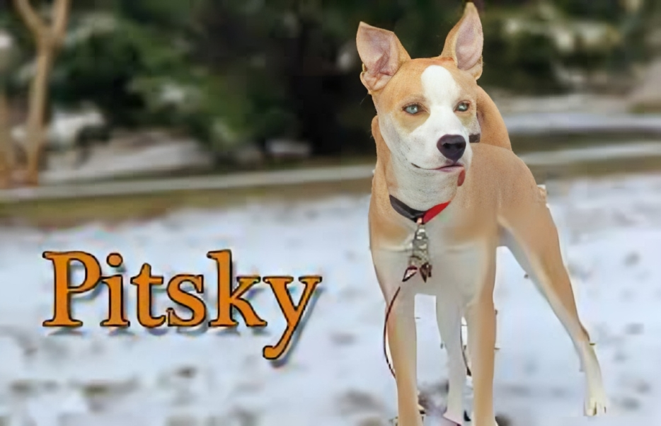 Pitsky